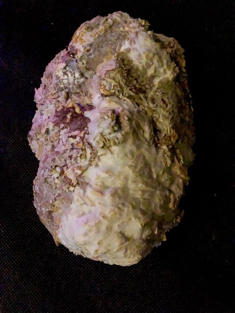 Mycelium mask