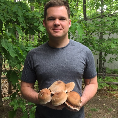 My first shiitakes!  Surprisingly grown from lime pasteurized media. 